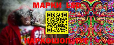 дживик Новозыбков
