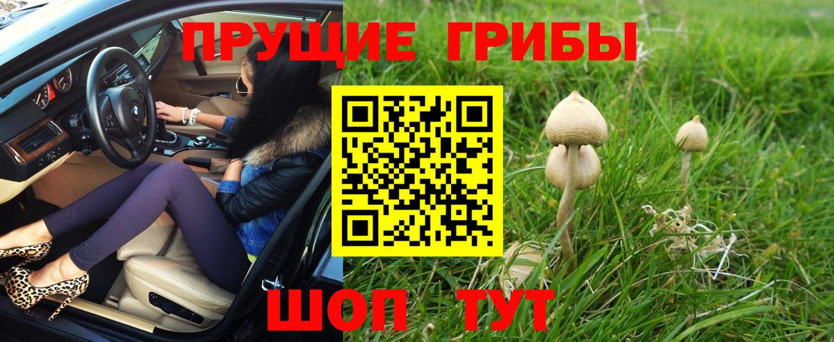 Псилоцибиновые грибы Magic Shrooms Сорочинск